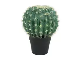 EUROPALMS dirbtinis rutulinis kaktusas, 34 cm 82600063