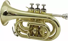 DIMAVERY TP-300 Bb kišeninė trimito, aukso lako danga 26503720