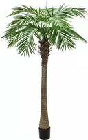 EUROPALMS Phoenix Palm Luxor dirbtinė palmė, 300cm 82510723