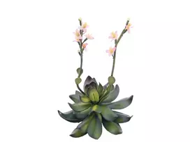 EUROPALMS Stone Rose (EVA) dirbtinis augalas, rožinis, 32cm 82530572