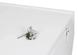ALLNET atsarginių raktų rinkinys serverių spintoms (2 raktai, Art. 219493 ir 219572) ALL-DIN-XXX-ReplaceKeys
