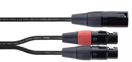 Cordial EY 0.3 MFF XLR Y-adapterio kabelis - 1x XLR male į 2x XLR female, 0,3 m, juodas 14881
