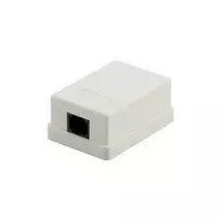 DSIT DS-Wall-Out-UTP5-I paviršinio montavimo Cat5e UTP RJ45 lizdas, dramblio kaulo spalvos