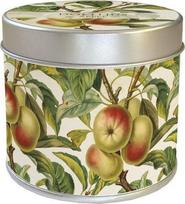 Skona Ting Scented candle 204 - obelis - obuolių kvapas