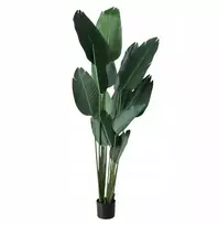Boltze Dirbtinis augalas bananų medis, aukštis 185 cm