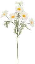 Home4You Dirbtinė gėlė GARDEN H55,5cm, baltas margainis