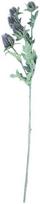Home4You Dirbtinis augalas GREENLAND H70cm, erškėtrožė