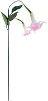 Home4You Dirbtinė šakelė GREENLAND H90cm angelo trimitas