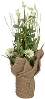 Home4You Dirbtinė gėlė GARDEN H35cm, baltas margainis, žolė su vazonu