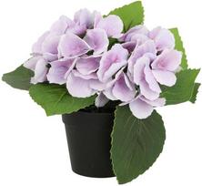 Dirbtinė gėlė GARDEN H18cm, violetinė hortenzija su vazonu