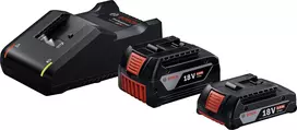 Bosch Professional 18V Starter Set (GBA 18V 4.0/2.0Ah + GAL 18V-40 Professional) (juodas, 2x Li-Ion baterija, AMPShare Alliance)