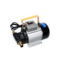 Tepalo perdavimo siurblys 220V OILP01