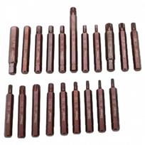 3/8- Antgaliai 75L TORX/SPLINE/IMBUS 5/1vnt. T-30 PJCL10214022