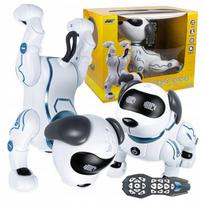 Nuotolinio valdymo šuniukas-robotas + 3 segtukai