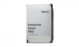 Synology NAS HD3.5" Enterprise SATA 4TB HAT5320-4T / 7,2k