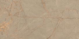 Porcelianinės plytelės Golden Web Brown Glossy 60*120