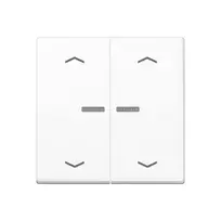 JUNG Home mygtukas 2 kanalų Bluetooth AS 17102 P WW