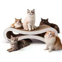 MOZOS KITTY-SPIKE Katės draskyklė ir poilsio lova, kartoninė, didelė, 86 cm XXL