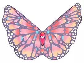 Souza! Papillon drugelio sparnai vaikų kostiumui