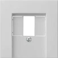 Gira System 55 dangtelis TAE ir USB, pilkas 0276015