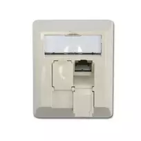 Telegärtner Cat.6 ekranuota RJ-45 tinklo sieninė rozetė, perlamutrinė balta