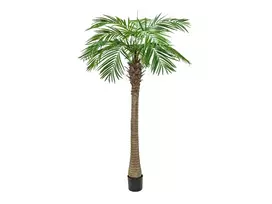 EUROPALMS Phoenix Palm Luxor, dirbtinis augalas, 240cm 82510722