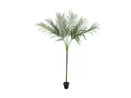 EUROPALMS Areca deluxe dirbtinis augalas, 180cm 82509443