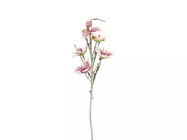 EUROPALMS dirbtinė magnolijos šakelė, EVA, balta-rožinė, 100 cm 82530587
