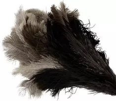 Bürstenhaus Redecker strutio plunksnų šluostė su vidutine galvute, buko medienos kotu, 50 cm 468807