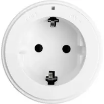 SYNERGY21 MODULRAIL Type F lizdo modulis baltas (Schuko) 16A 250V S21-MR016