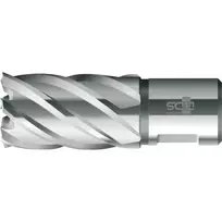 BDS HSS standartinis žiedinis grąžtas 12,0 mm skersmens, 30 mm gręžimo gylio, Weldon kotu (KBK-012)