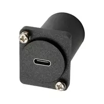 EXSYS EX-49172 D-Type adapteris USB-C (moteriškas) į DisplayPort (moteriškas)