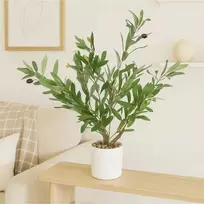 Ibergarden Dekoratyvinis alyvmedis, 58 cm