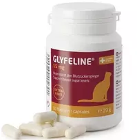 Purina Nestle Purina GLYFELINE 15 mg GLIKOAMINO VALDYMAS KATĖMS 60 kaps.