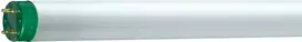 Philips Master TL-D Eco liuminescencinė linijinė T8 G13 51W 4800lm 3000K (871150026466440)