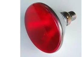 Helios Infraraudonųjų spindulių šildytuvas E27 100W PAR38RB PRO-0020