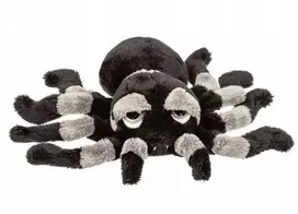 Suki Voriukas HALLOWEEN