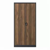 Jan Nowak Biuro spintelės Metalinė spinta su slėptuve antracito / riešuto Eco Design* (TOMASZ)
