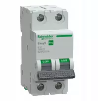 Schneider Electric Automatinis jungiklis B 16A 2P EZ9F27216