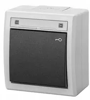 Elektro-Plast Jungiklis 2K dvipolis su raktu IP55 pilkas (5007-10)