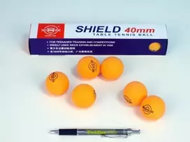 Master Stalo teniso kamuoliukai Ping Pong Oranžiniai SHIELD 101 40 mm 6 vnt (UN1309)