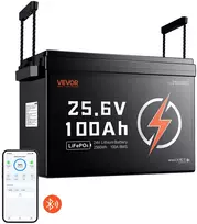 VEVOR 24V 100Ah LiFePO4 ličio akumuliatorius