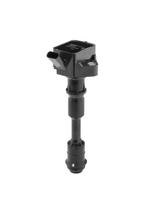 Ritė, uždegimas BorgWarner (BERU) ZSE294