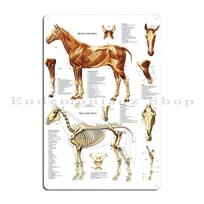 Žirgo skeletinė anatomija Veterinarinis sieninis plakatas Anatomijos vadovas Metalinė lentelė Svetainės Alaus baro Sienų dekoras Geležies Skardos ženklas Plakatas 40x30cm