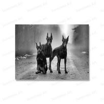 Šiuolaikinės mados dobermano ginklas prabangūs šunų plakatai Spaudiniai drobės tapyba Šiaurės šalių juodai baltos sienos meno paveikslėliai biuro namų dekoravimui 50cm×70cm NoFrame