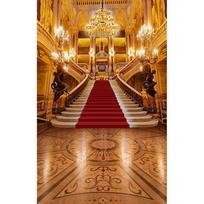 Magnificent Palace Beauty and Beast Backdrop for Photography Castle Background  Photo Studio Red Carpet Adult Portrait Photos Vinyl-100x125cm brown