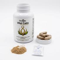 Googeer Vital Calm – Spanguolių ir moliūgų sėklų formulė, 60 kapsulių 1pack