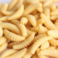 200/100/50 vnt. Minkštas masalas Duonakirmėlis Maggot Grub Minkštas masalas Kvapo kirmėlės Švytinčios krevetės žvejybos masalai 50pcs geltona