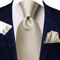 Hi-Tie Gėlių Šampano Dramblio Kaulo Elegantiškas Vyriškas Kaklaraištis Servetėlė Manžetės Sąsagėlės Smokingui Mados Klasikinis Šilko Prabangus Kaklaraištis Vyrui gray