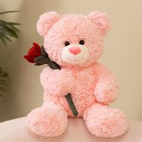 Rose bear teddy bear doll plush toy hug bear doll girl rag doll birthday gift 30cm（0.36kg） ruda